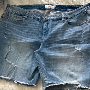 Torrid Blue Denim Bermuda Shorts